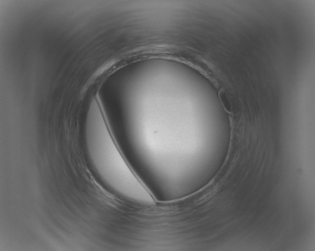 X0000051861402200506240950