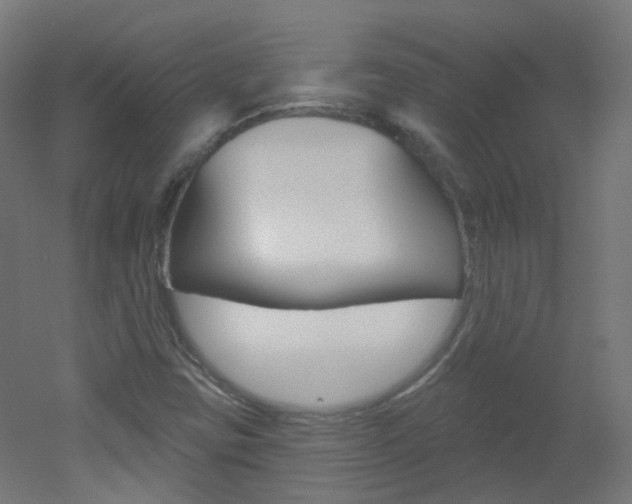 X0000051861403200506240950