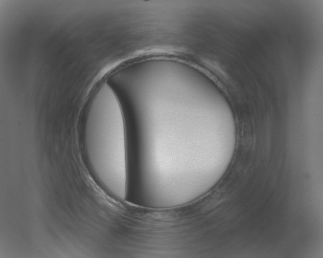 X0000051861404200506240950