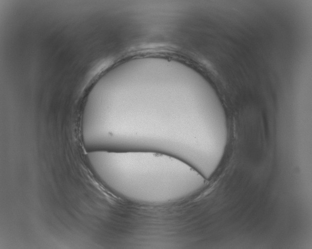 X0000051861405200506240950