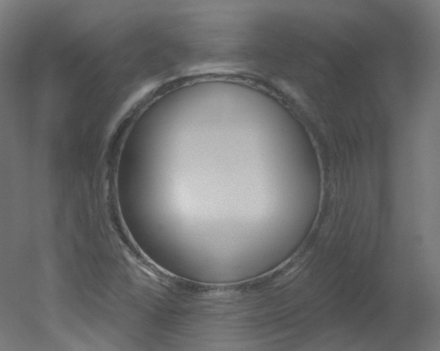 X0000051861406200506240950