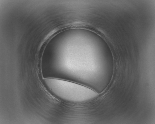 X0000051861410200506240950