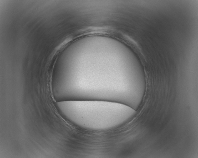 X0000051861411200506240950