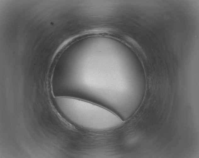 X0000051861412200506240950