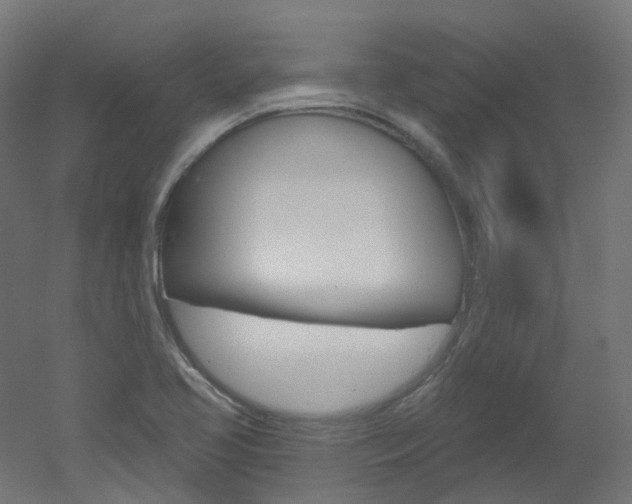 X0000051861413200506240950