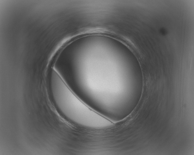 X0000051861414200506240950