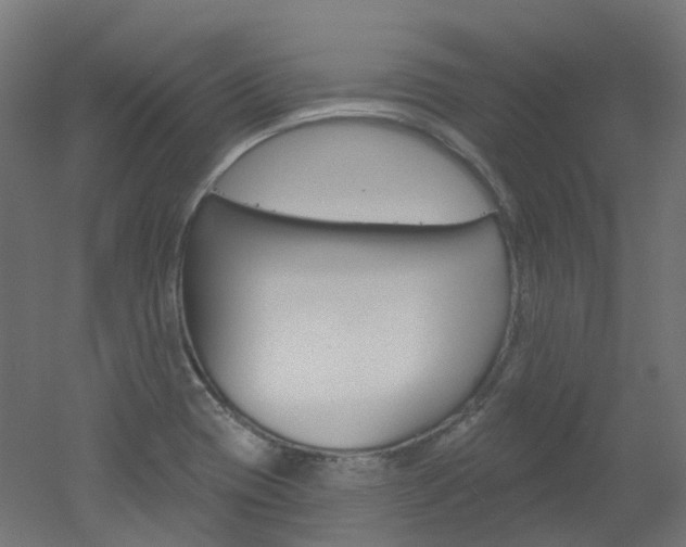 X0000051861417200506240950