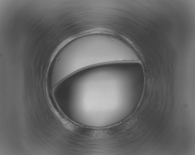 X0000051861418200506240950