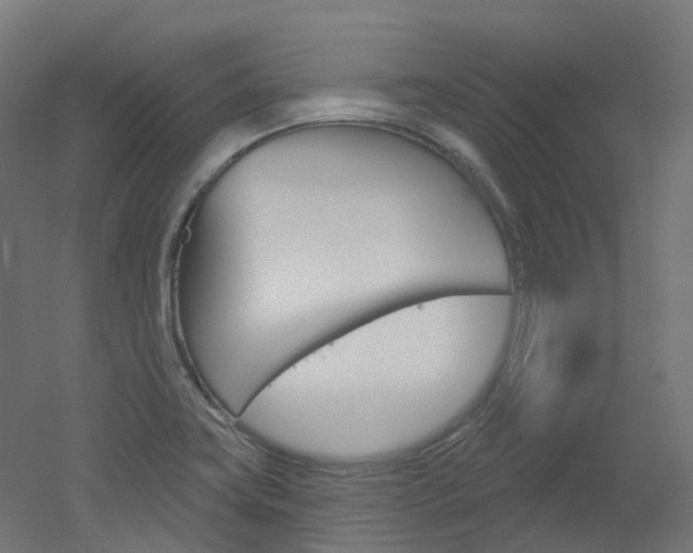 X0000051861419200506240950