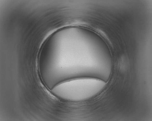 X0000051861420200506240950