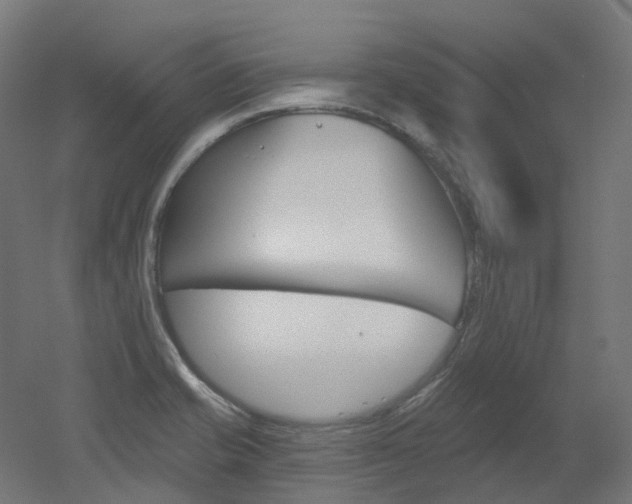 X0000051861421200506240950