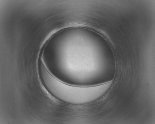 X0000051861422200506240950