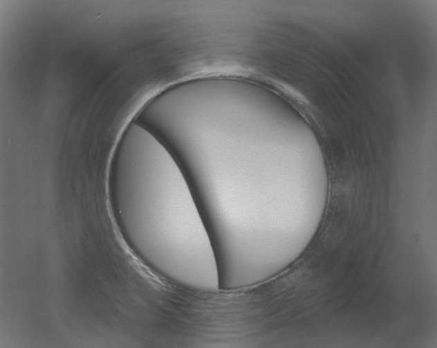 X0000051861423200506240950