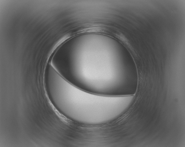 X0000051861426200506240950