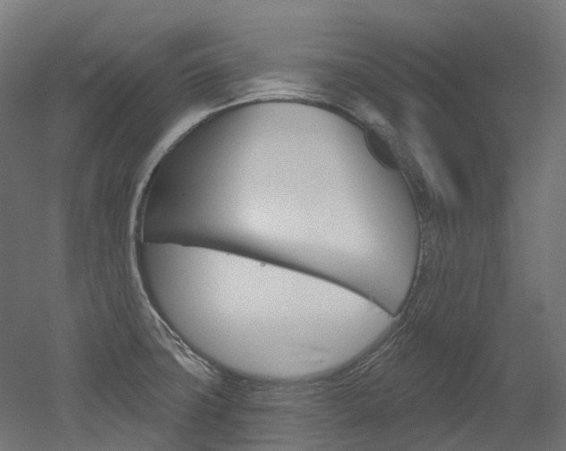 X0000051861427200506240950