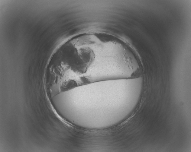 X0000051861429200506240950
