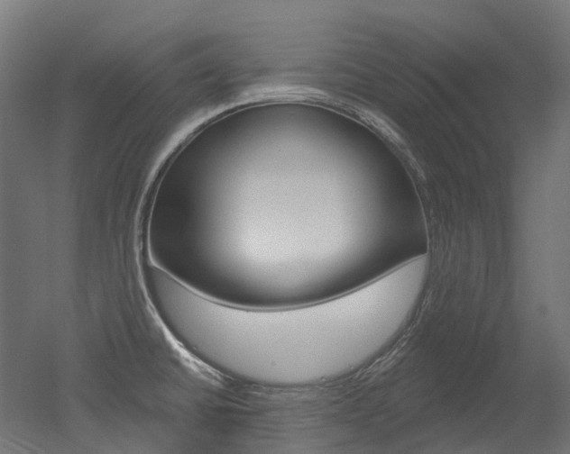 X0000051861430200506240950