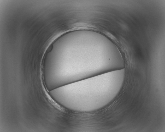 X0000051861431200506240951