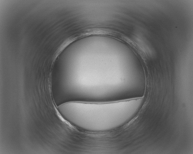 X0000051861433200506240951