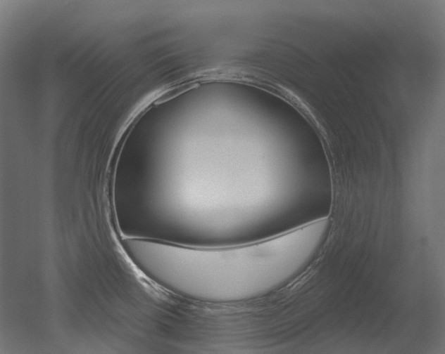 X0000051861434200506240951