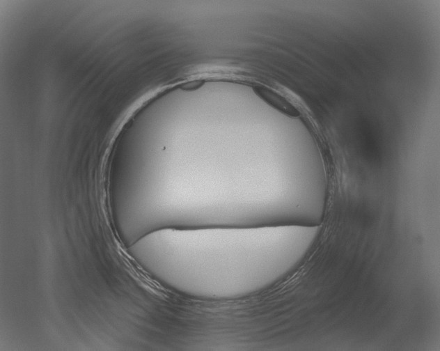X0000051861435200506240951