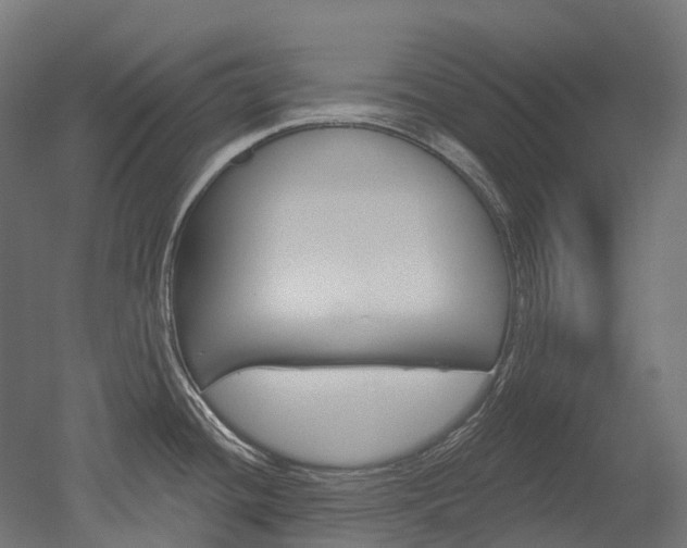 X0000051861436200506240951
