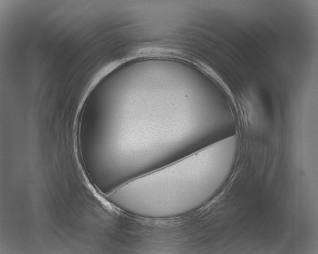 X0000051861437200506240951