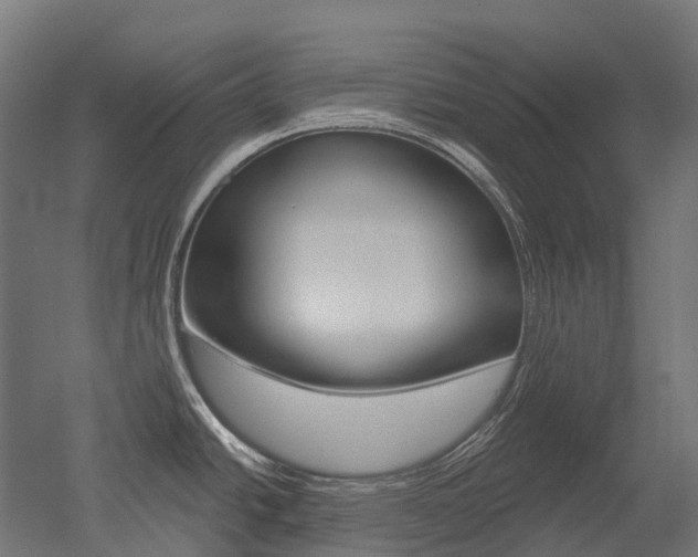 X0000051861438200506240951