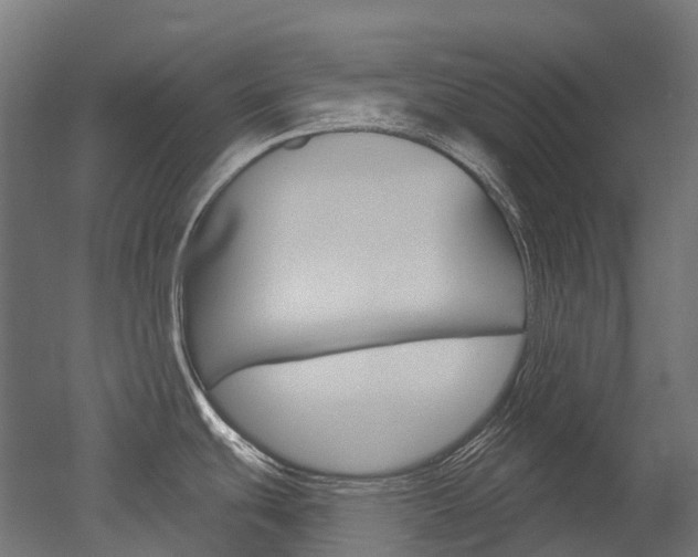 X0000051861439200506240951