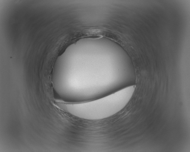 X0000051861441200506240950