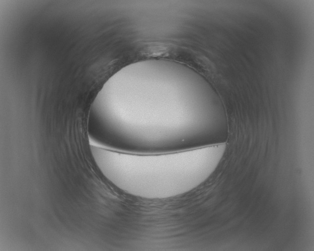 X0000051861442200506240950