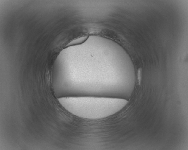 X0000051861443200506240950