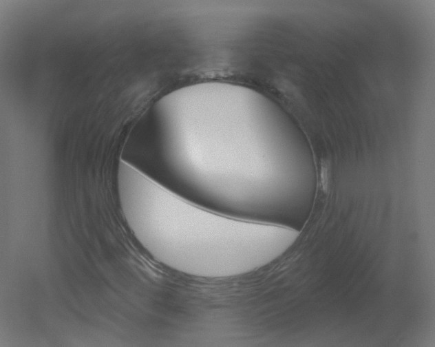X0000051861444200506240950