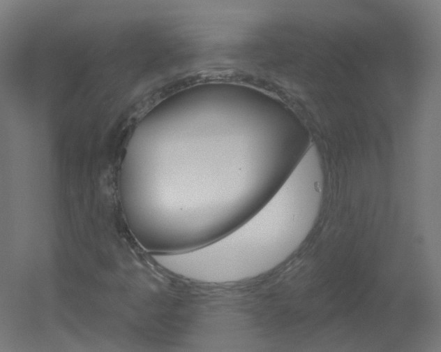 X0000051861445200506240950