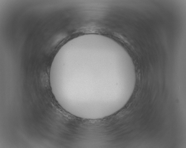 X0000051861446200506240950
