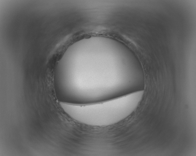 X0000051861447200506240950