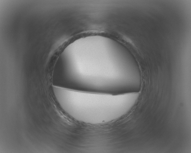 X0000051861448200506240950