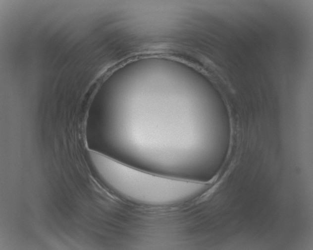 X0000051861449200506240950