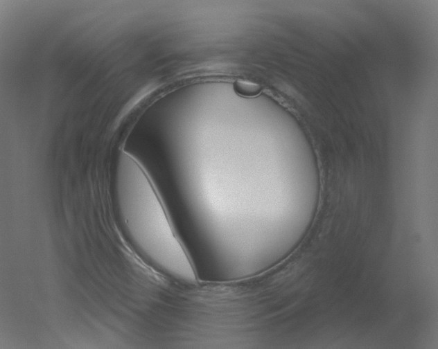 X0000051861450200506240950
