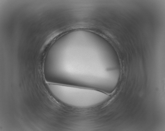 X0000051861453200506240950
