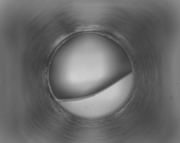X0000051861457200506240950