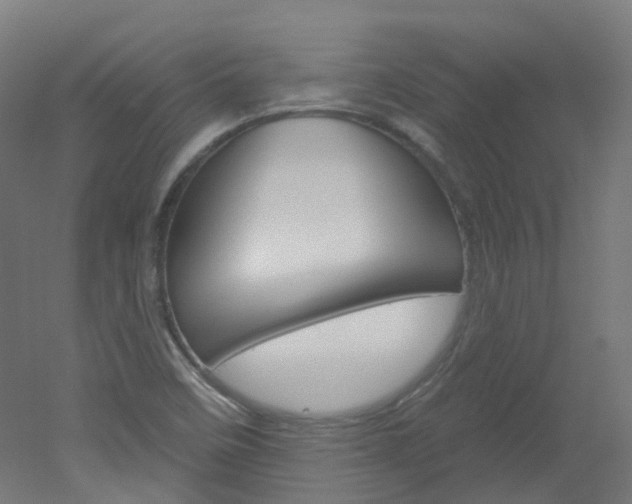 X0000051861458200506240950