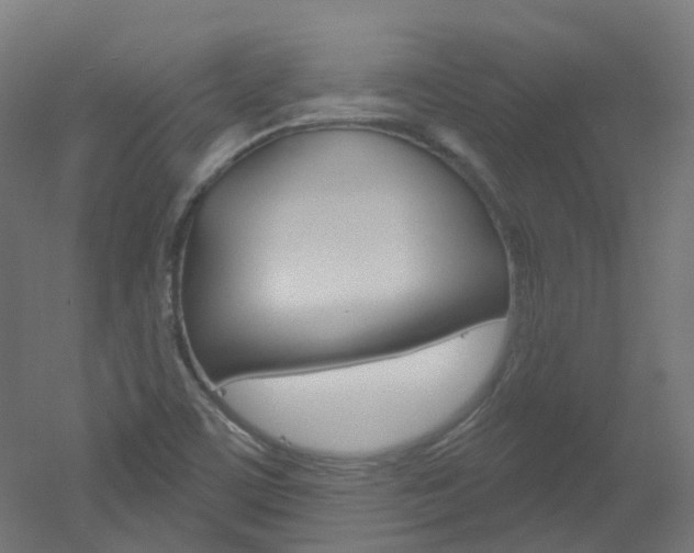 X0000051861459200506240950