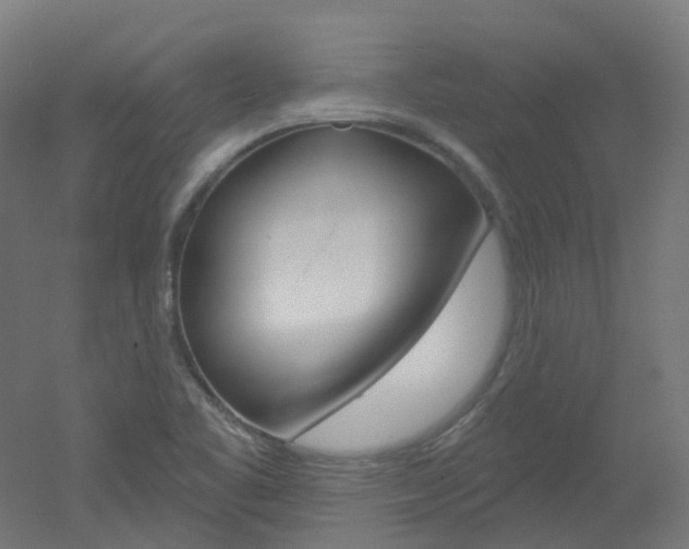 X0000051861461200506240950