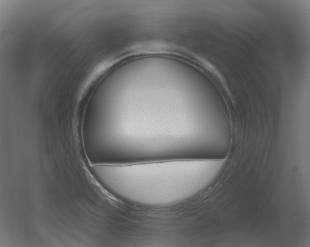 X0000051861464200506240949