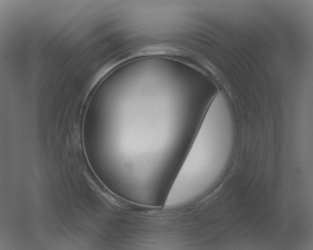 X0000051861465200506240949