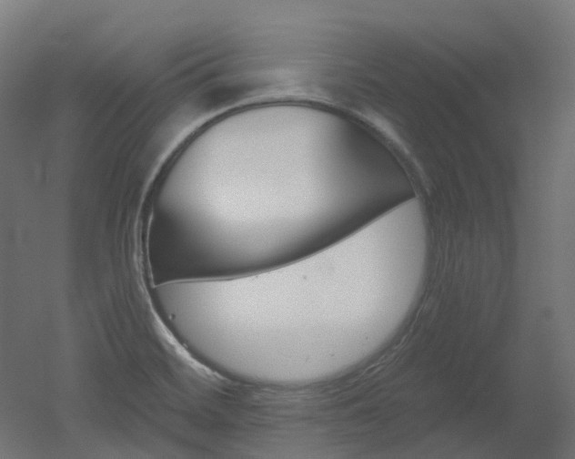 X0000051861468200506240949
