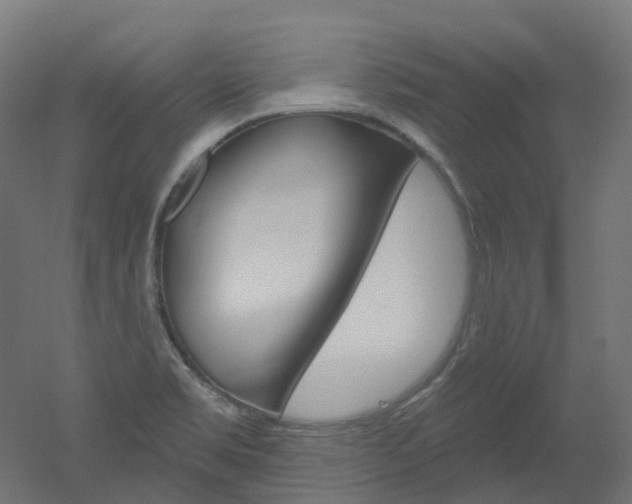 X0000051861469200506240949