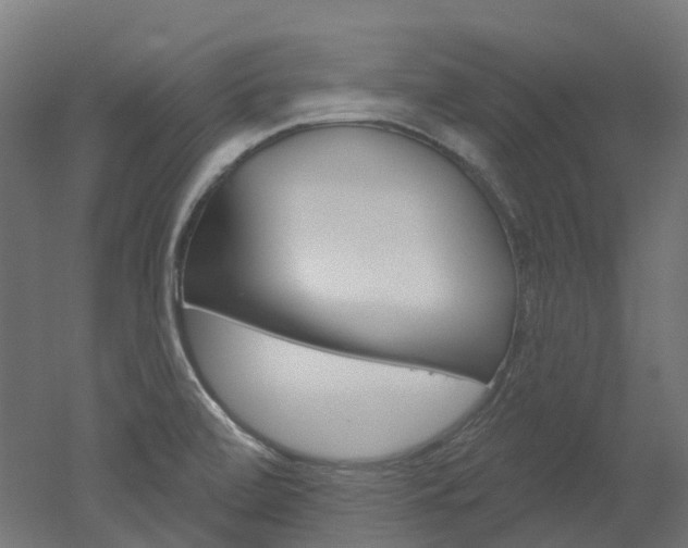 X0000051861472200506240949