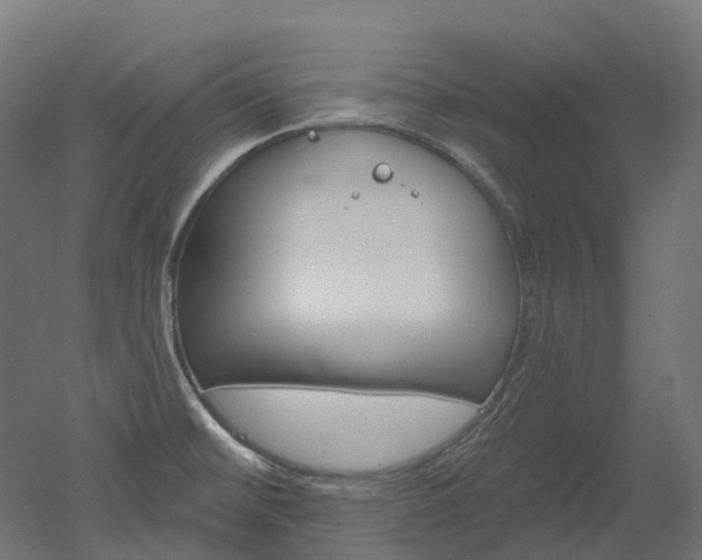 X0000051861476200506240949